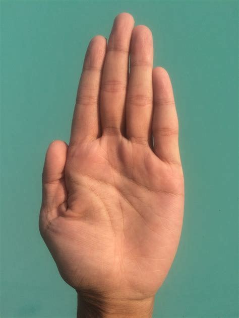 left hand  stock photo public domain pictures