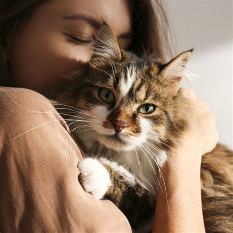 Acorn Lake Veterinary Service / Dr. Randall Lindemann, DVM – Frazee, MN