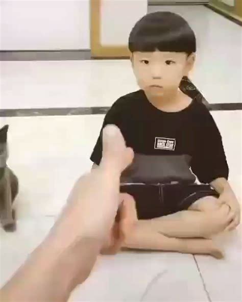 cat voice ideas funny animals cute cats cute funny animals