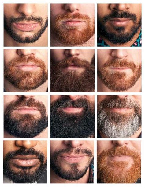 goatee beard   grow trim maintain    beard style