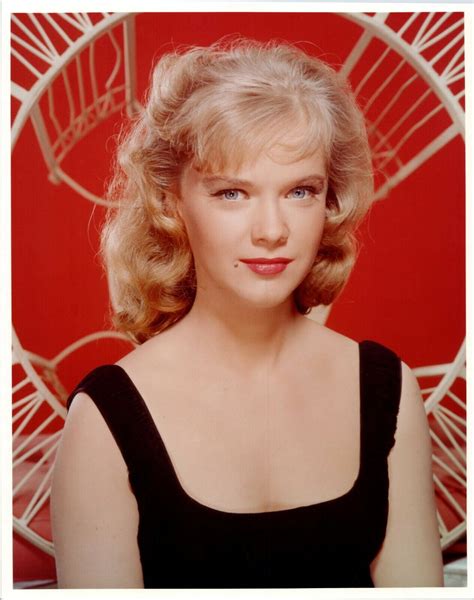 Anne Francis beautiful vintage 1970's 8x10 photo studio portrait in