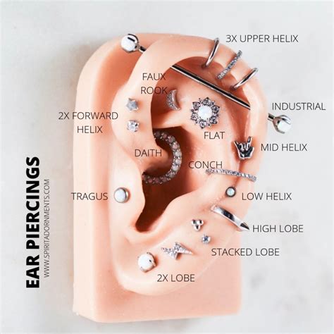 Piercing Jewelry & Earrings on Instagram: "Which ear piercings do YOU ...