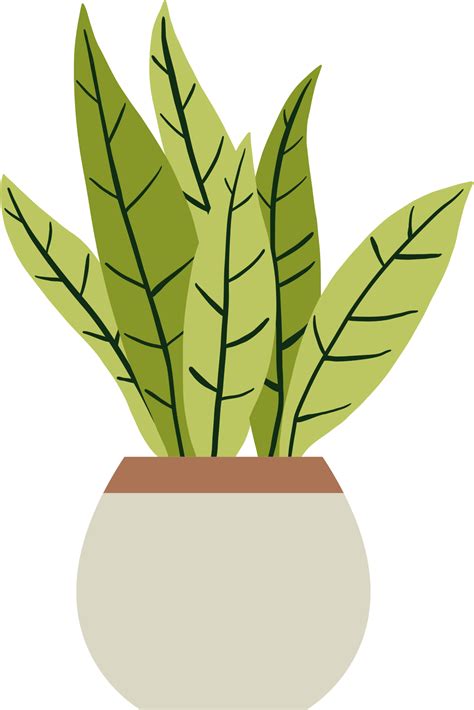 houseplant easy 3