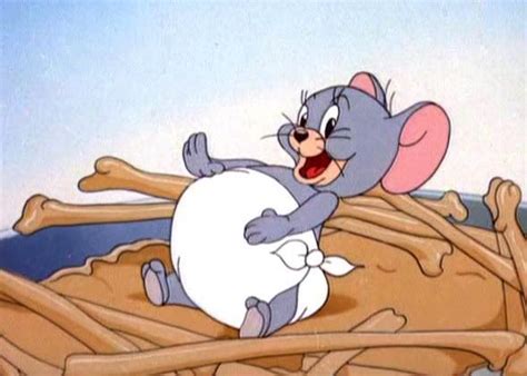 Nibbles | Tom & Jerry Wiki | Fandom