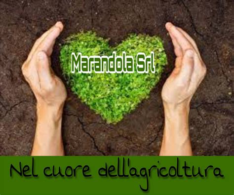 Marandola SRL | Rocca d'Evandro