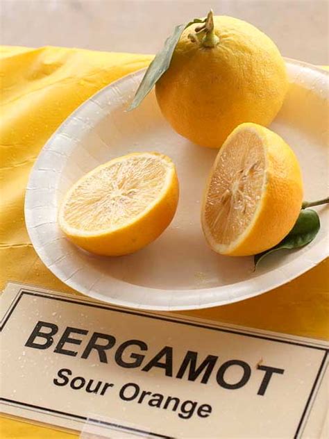 Bergamot Essential Oil in herbal medicine and aromatherapy