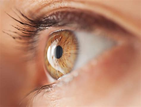 Anatomy of the Eye: Eye Structure & More – NVISION