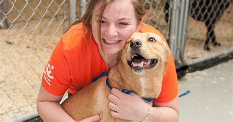 Volunteering at an animal shelter!! | Vet Set Go