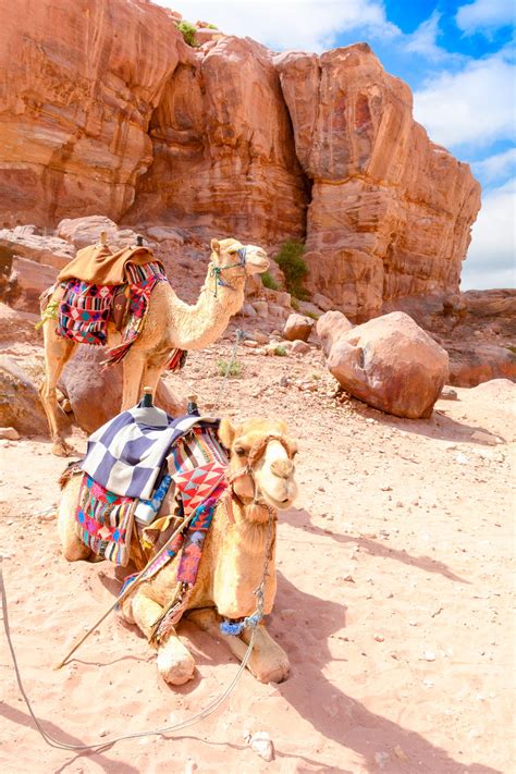 Wadi Rum - Stunning Adventure Paradise in Jordan • Trip Ways