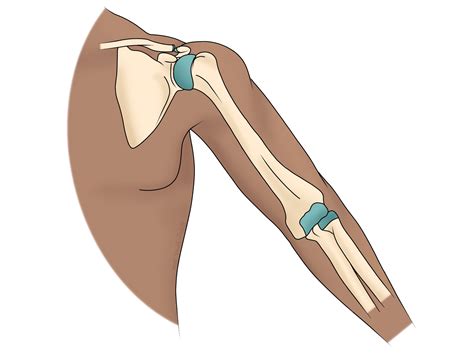 Shoulder and Elbow Pain - Beth Forrest Osteopathy