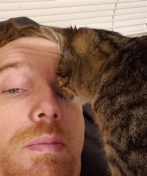 Why Does My Cat Lick My Eyelids? - 2025 Petsical