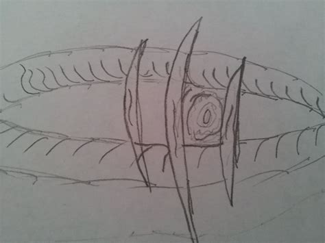 guide to snake scared at home