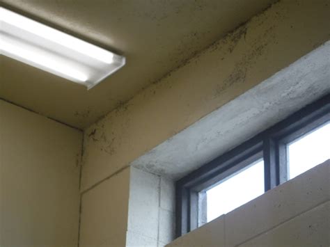 Families protest conditions at cmcf central mississippi correctional facility 20