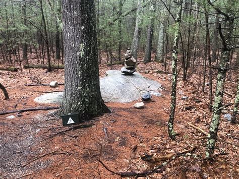 A simple rhode island defendant search uncovered a massive scandal