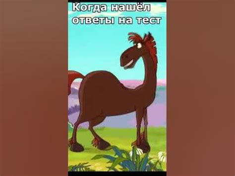 Танец коня Юлия #Shorts - YouTube