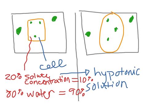 ShowMe - hypotonic