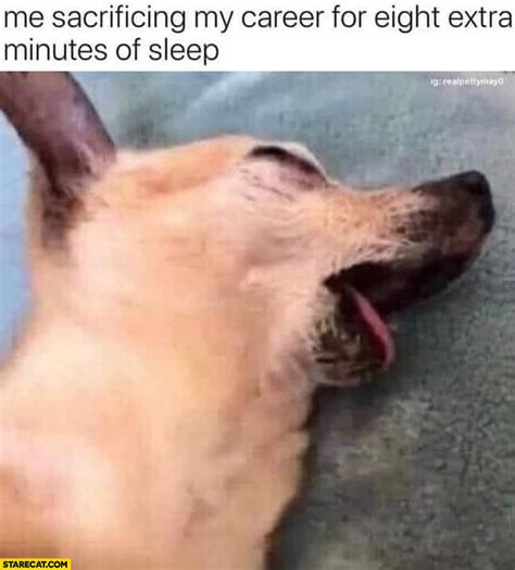 Nap Dog Memes