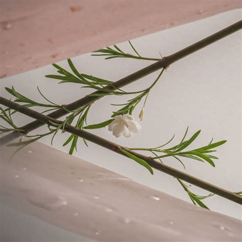 How Can Consumers Verify the Freshness of Local Produce? → Learn