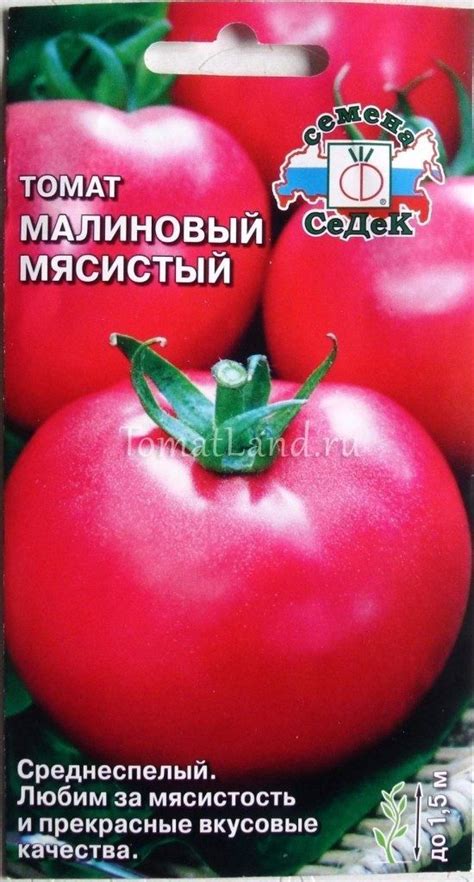 Томат Малиновый мясистый: описание сорта, ОТЗЫВЫ, фото, урожайность