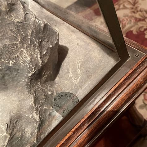 Taxidermy - Peregrine Falcon By Peter Spicer & Sons Of Royal Leamington Spa