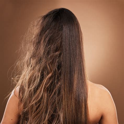 How to Repair Damaged Hair: 10 Expert Tips to Try in 2025