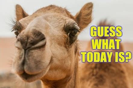 The Hump Day Picker-Upper – Christian's Music Musings