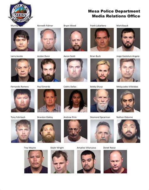 Gilbert Goons Mugshots Arizona: A Crime Expert's Analysis Image 11
