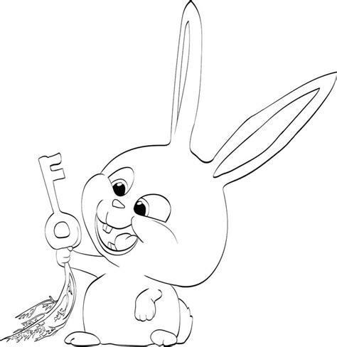 Тайная жизнь домашних животных раскраска (24) | Coloring pages, Secret ...