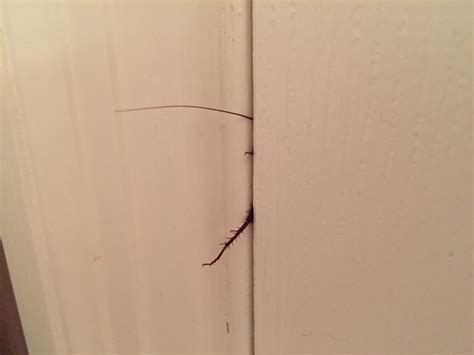 Window Making Crunching Noise at Lloyd Tidwell blog