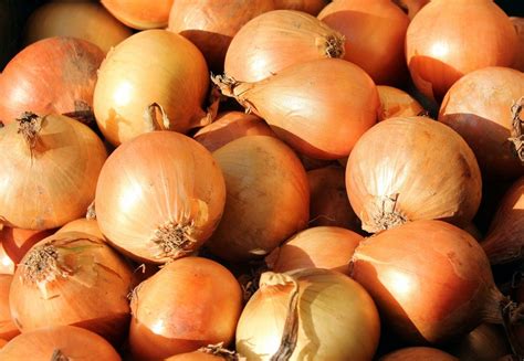 Yellow Onion