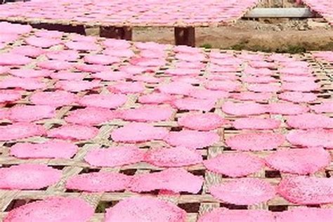 boraks  gunanya   ciri makanan  mengandung boraks