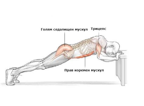 Кои мускули участват при изпълнението на различни упражнения ...