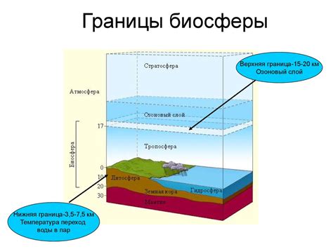 Состав и строение биосферы - online presentation