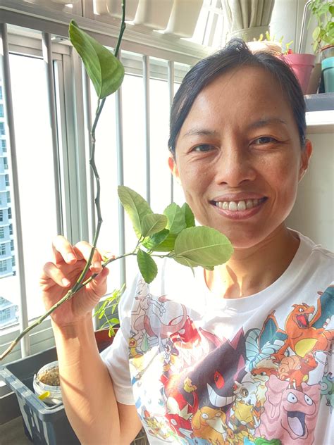 How gardening teaches you this crucial lesson about scaling your business