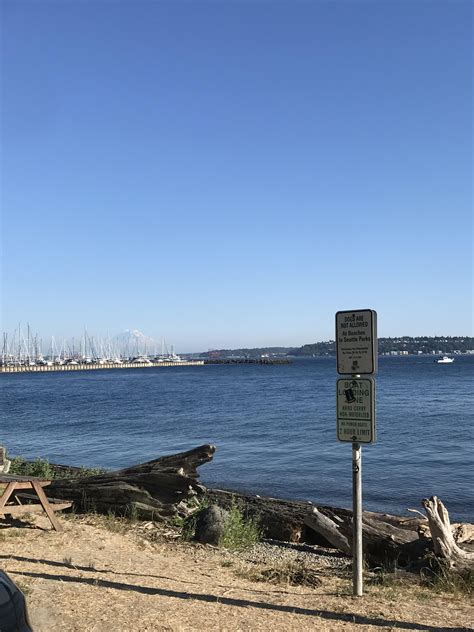 Views from a secret little beach : r/Seattle