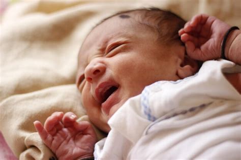 Recem Nascido Chora Muito - Bebê recém-nascido chorando ao sentir fome | Foto Premium