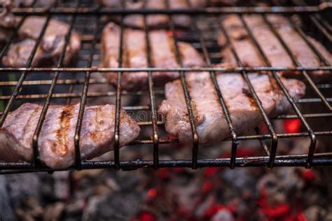 meat cooking   grill  open fire  coals stock photo image