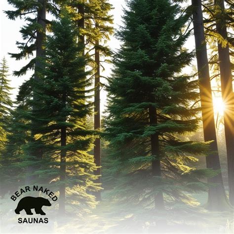 Bear Naked Saunas | Hermantown MN