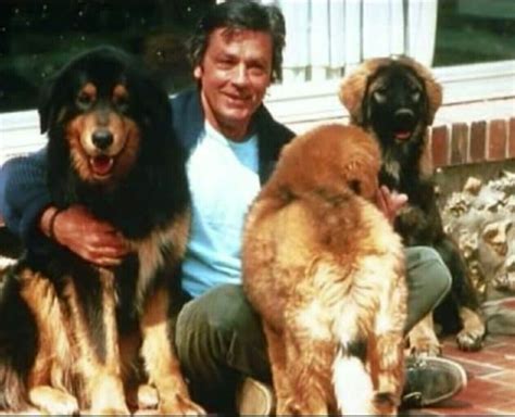 Alain delon with dog photos and premium high res pictures – Artofit