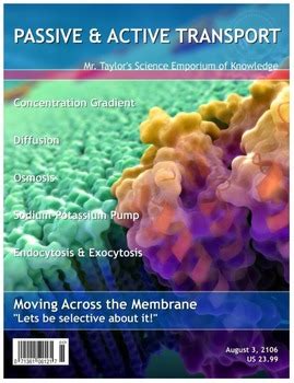 Passive, Active Transport , Osmosis, and Osmoregulation Guided Note Packet