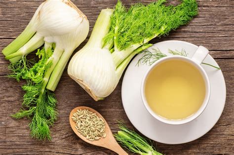 Fennel Wallpapers (27+ images inside)