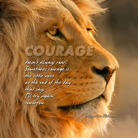 Lion Quotes HD Wallpapers - Top Free Lion Quotes HD Backgrounds ...