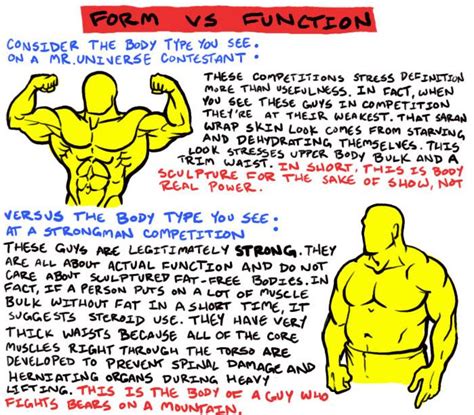 form  function bodybuilders  weightlifters  adventures