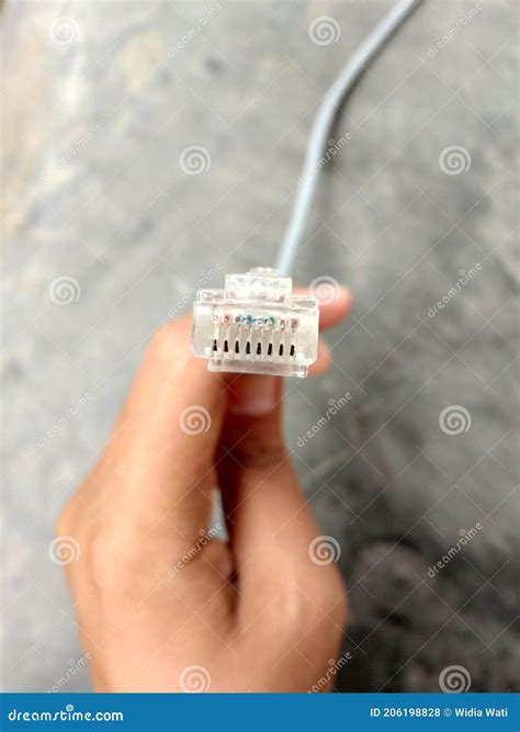 UTP Cable Straight Arrangement that is Attached To the Connector. Stock ...
