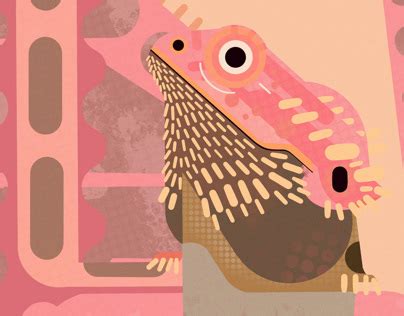 askmen  behance