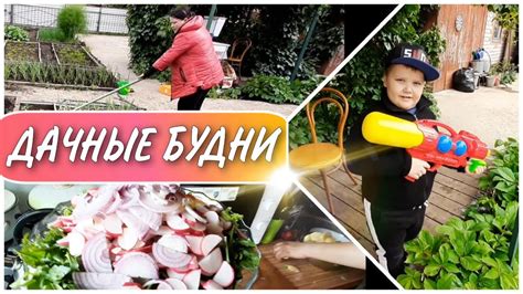 Семейные будни на даче//наводим порядок на участке//моя семья//семейный ...