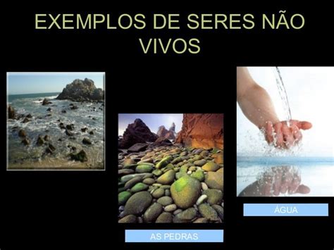 Exemplo De Seres Nao Vivos - Seresvivo e não vivos