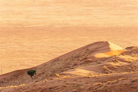 "Namibian Desert At Sunset" by Stocksy Contributor "Marilar Irastorza ...