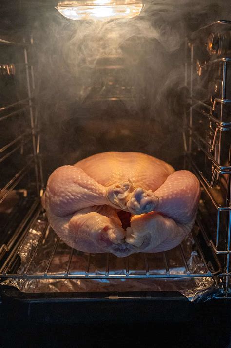 Costco-style whole chicken on the GE Profile Indoor Smoker
