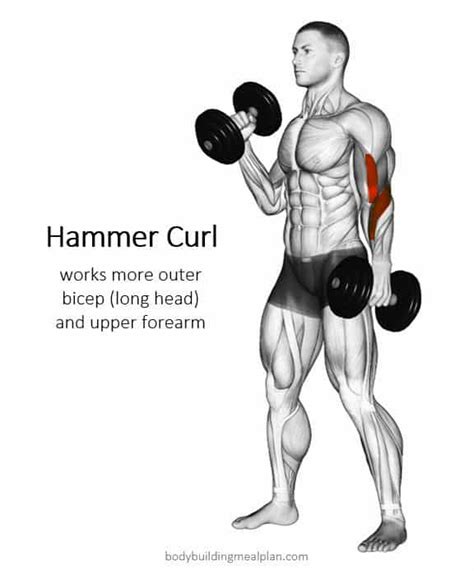 Outer Bicep Workout (How To Build Peak) 7 Best Exercises